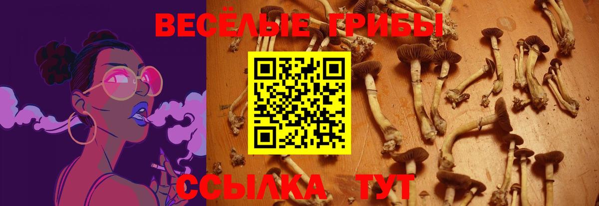 Чебоксары  Псилоцибиновые грибы мухоморы  Вход с VPN 